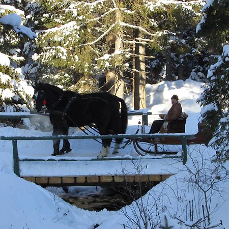 Koliba Ski Gruniky Sihelné Exteriér fotografie