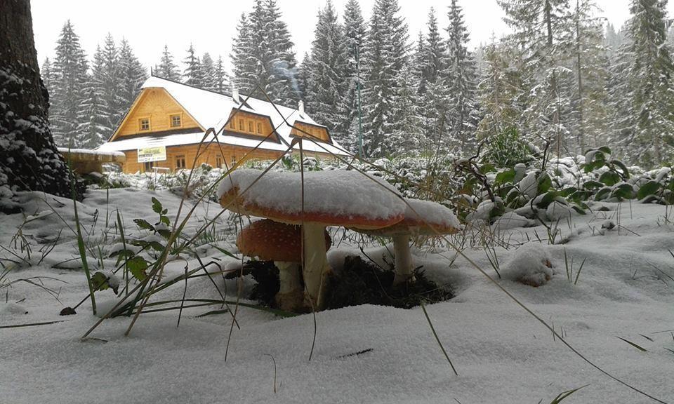 Koliba Ski Gruniky Sihelné Exteriér fotografie